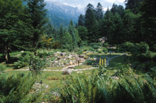 Giardino Botanico Alpino Valderia